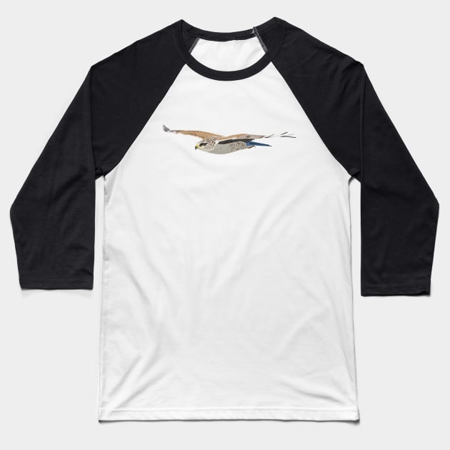 Flying Hawk Baseball T-Shirt by NorseTech